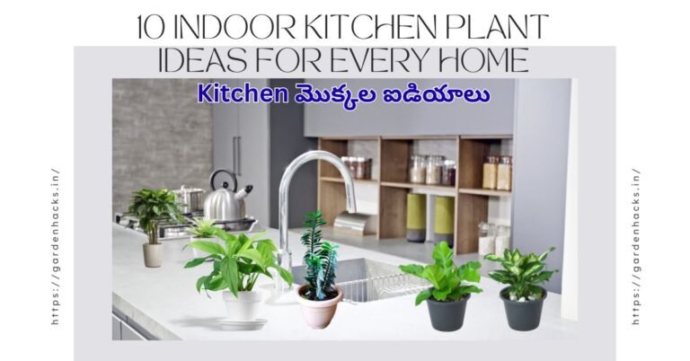 Featured image of 10 Indoor Kitchen Kitchen Plant ideas