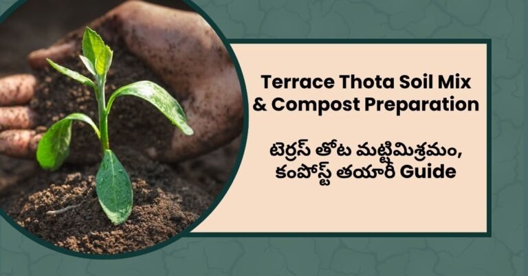 Terrace Thota Soil Mix & Compost Preparation Guide