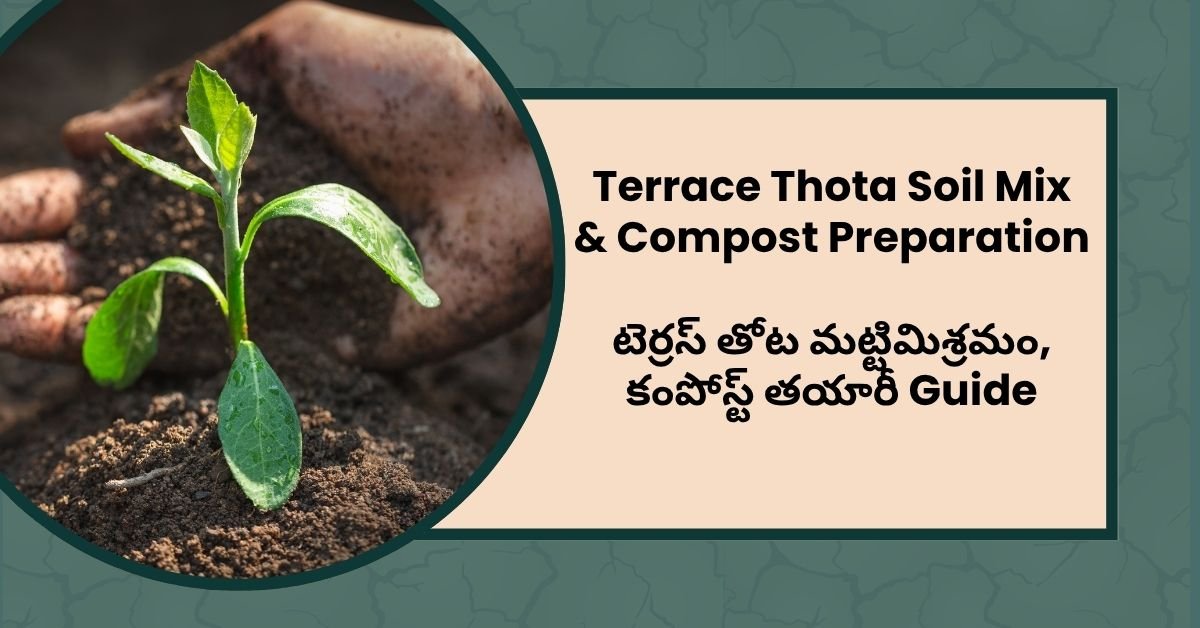 Terrace Thota Soil Mix & Compost Preparation Guide