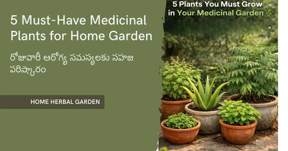 5 plants you must grow in your medicinal garden Telugu
