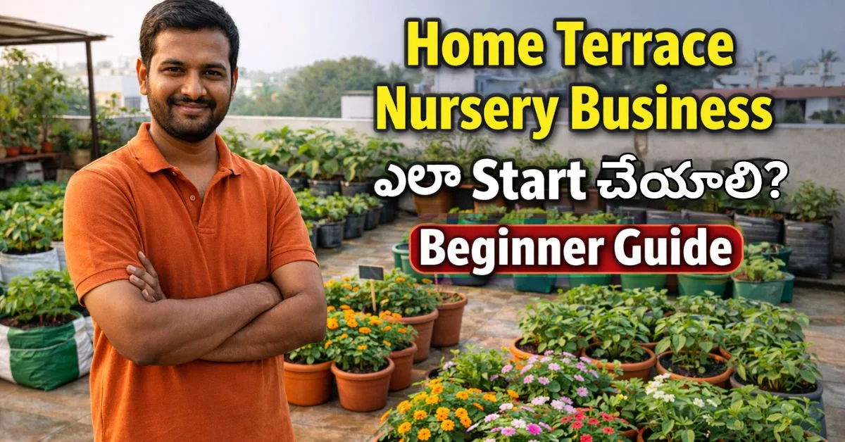 Home terrace nursery business beginner guide Telangana