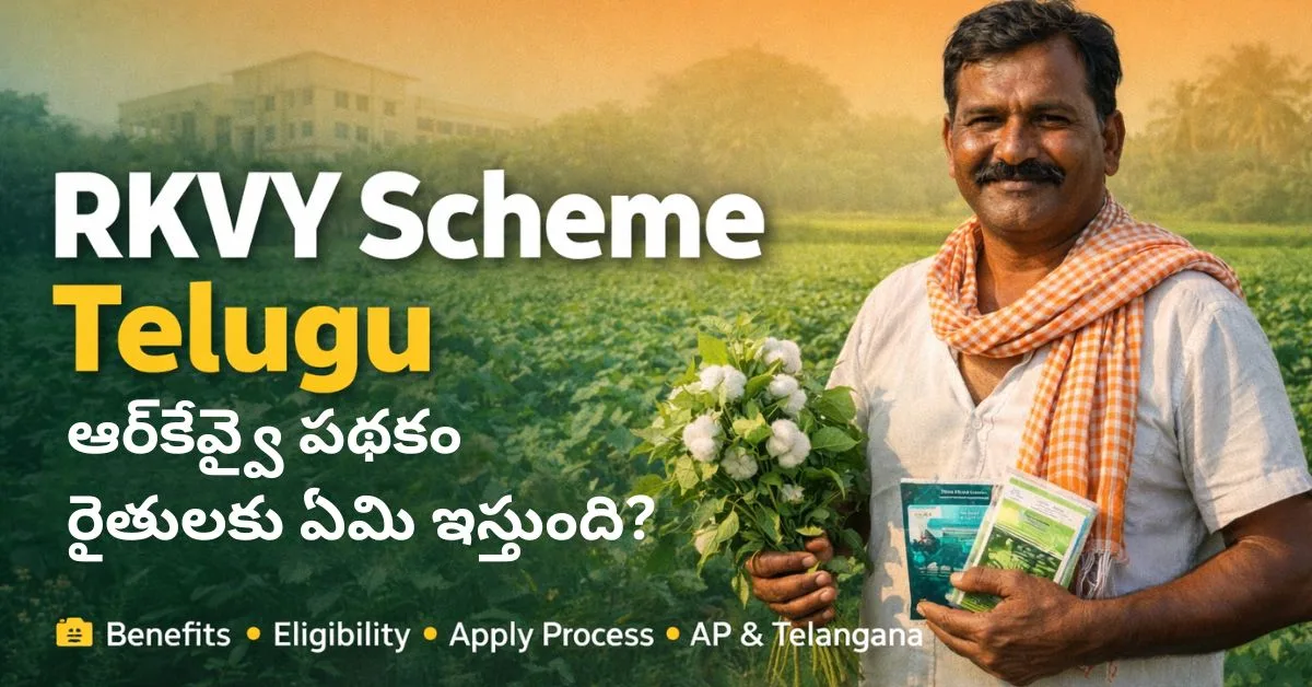 RKVY Scheme in Telugu | ఆర్‌కేవ్వై పథకం రైతులకు ఏమి ఇస్తుంది?
