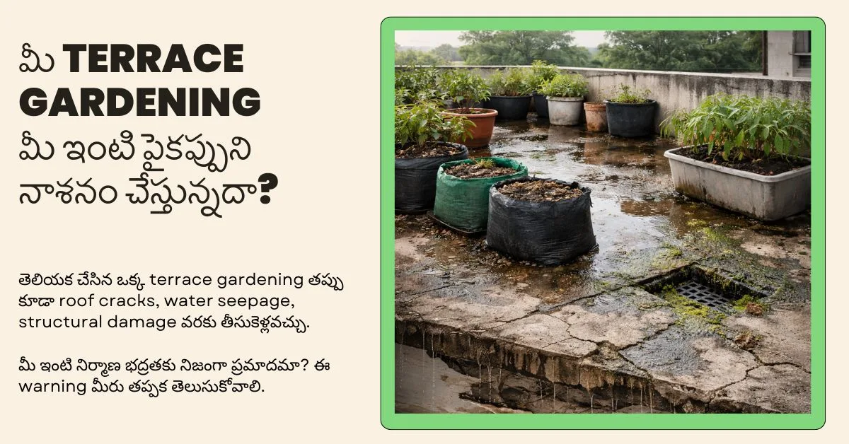 Terrace gardening mistakes structural roof damage warning