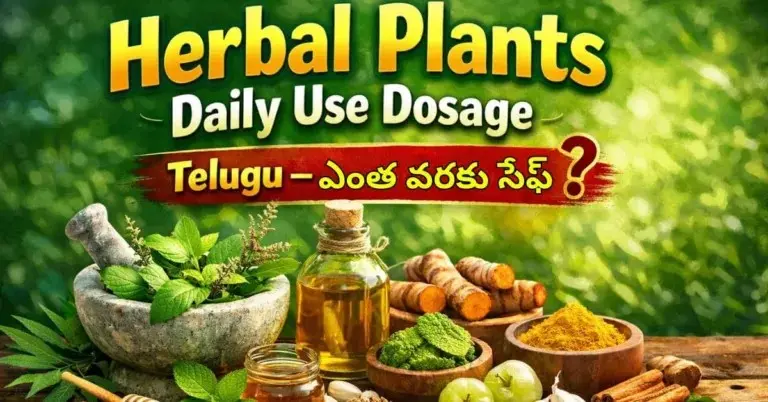 Herbal Plants Daily Use Dosage Telugu – ఎంత వరకు సేఫ్? (Telangana Practical Guide)