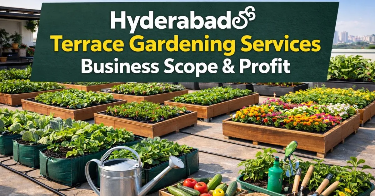 gardening services Hyderabad business scope and profit