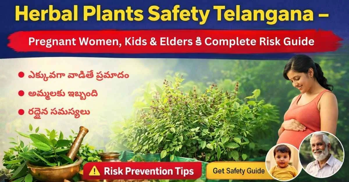 Herbal Plants Safety Telangana – Pregnant Women, Kids, Eldersకి Complete Risk Guide