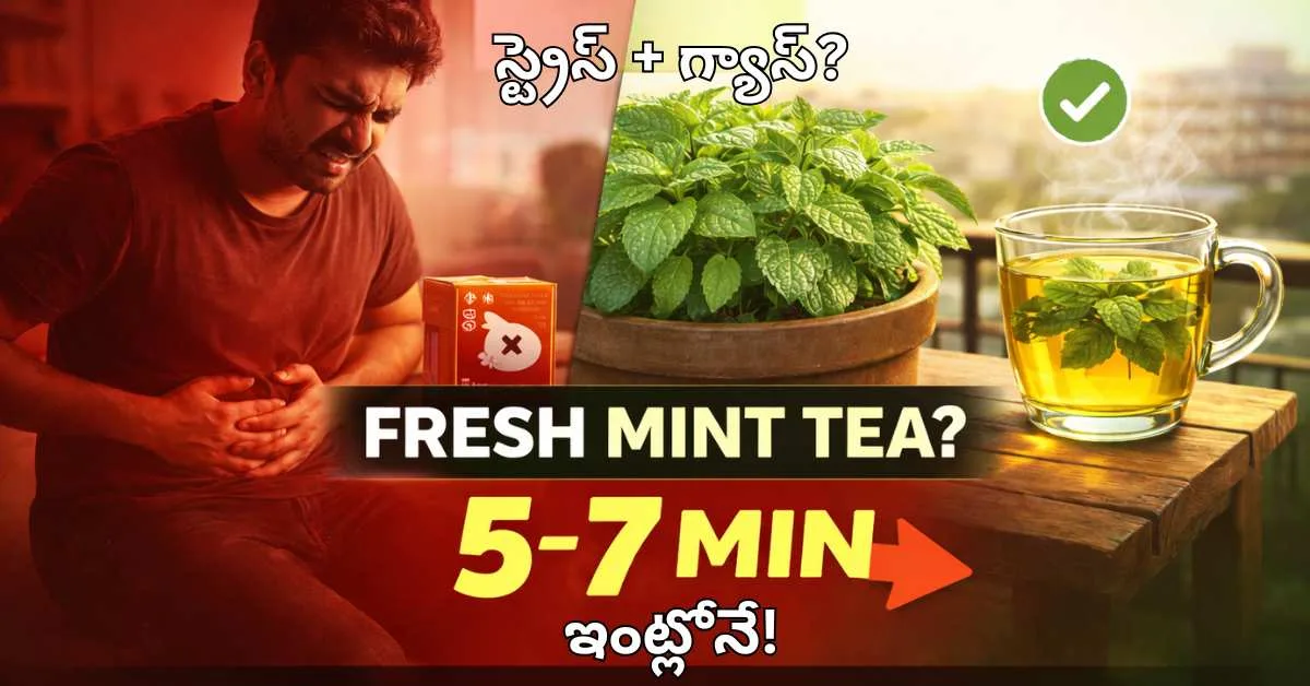How to make peppermint tea from fresh leaves? ఇంట్లో పుదీనా టీ ఎలా చేయాలి?