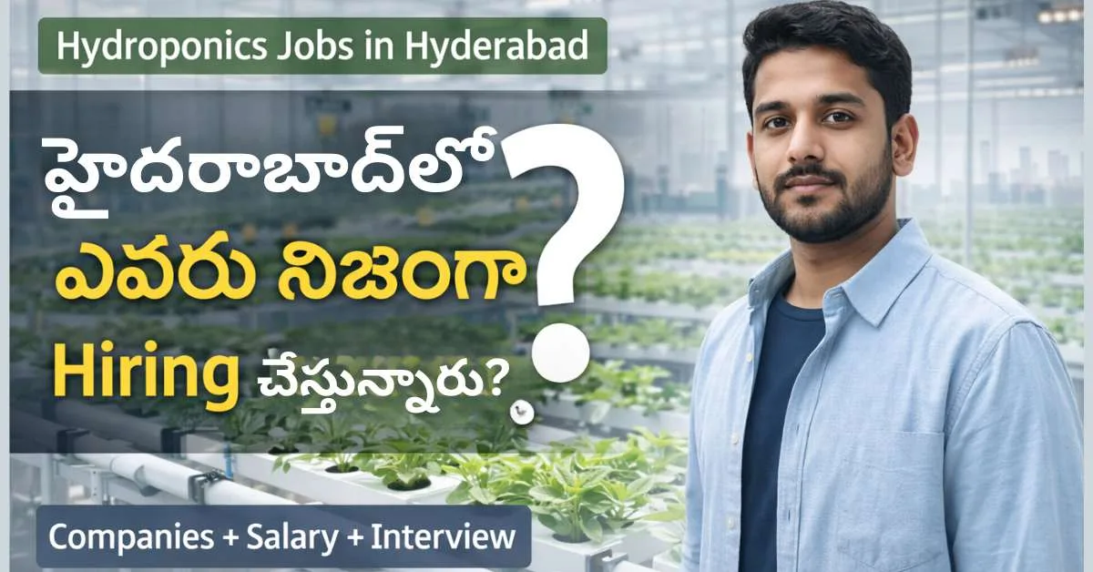 Hydroponics లో Jobs – హైదరాబాద్‌లో హైరింగ్ చేస్తున్న కంపెనీలు మరియు అగ్రి టెక్ ఉద్యోగ అవకాశాలు