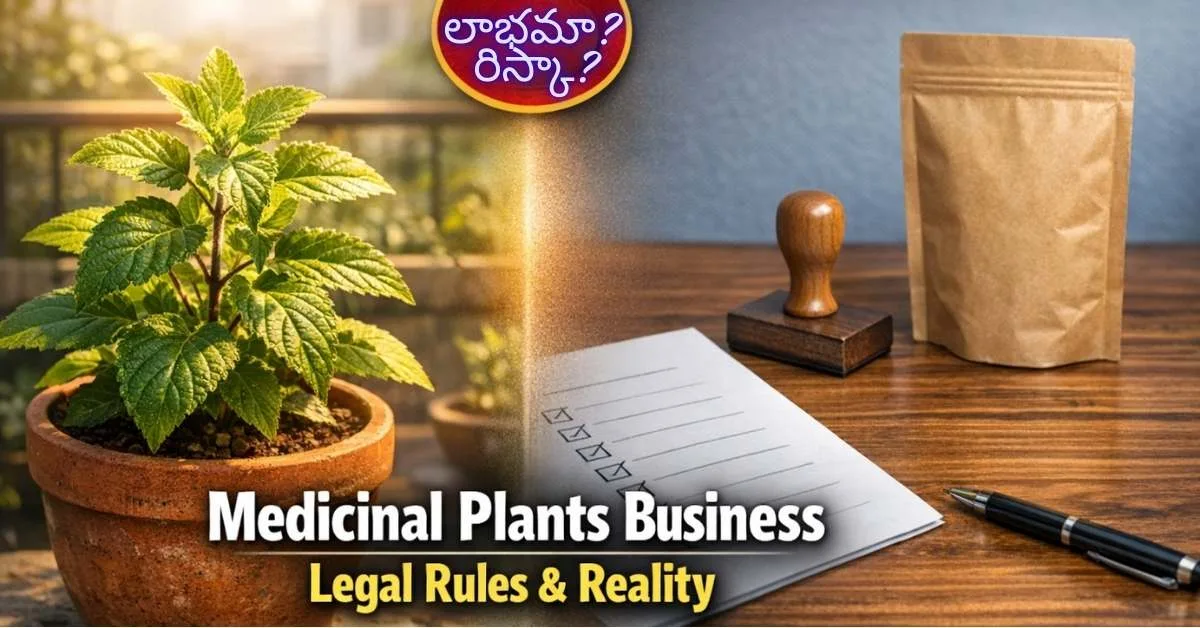 Medicinal Plants Business in India – Legal Rules & Reality