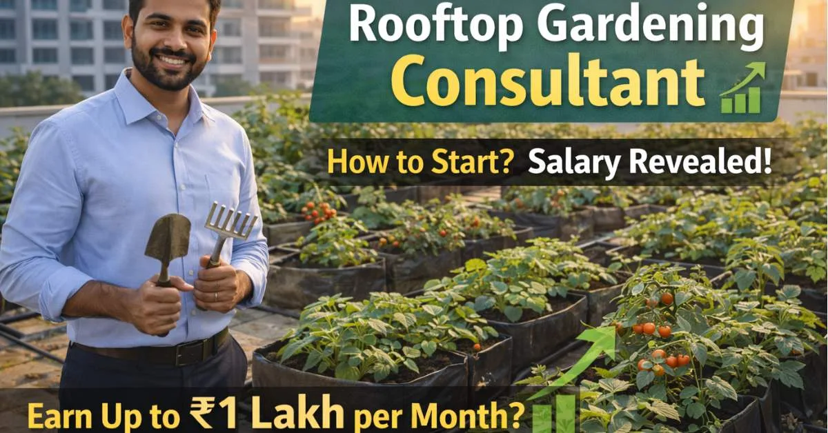 Rooftop Gardening Consultant కెరీర్ – జీతం ఎంత? – రూఫ్‌టాప్ గార్డెనింగ్ నిపుణుడి కెరీర్ అవకాశాలు మరియు సాలరీ వివరాలు
