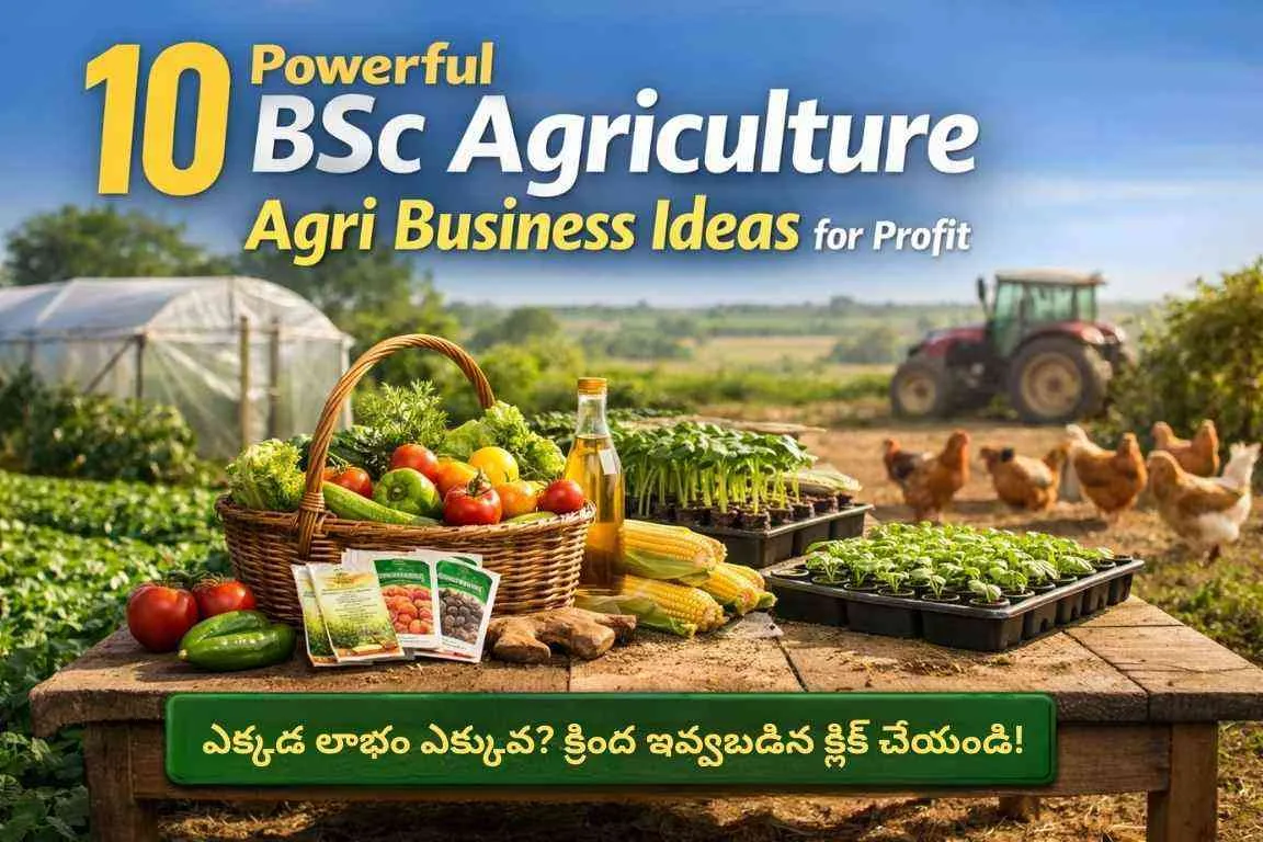 10 Profitable BSc Agriculture Agri Business Ideas with low investment farming background scene