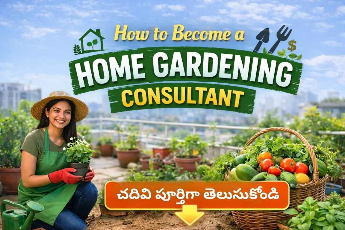 Home Gardening Consultant గా తోట ఏర్పాటు చేస్తున్న వ్యక్తి – కెరీర్, జీతం మరియు అవకాశాల వివరణ