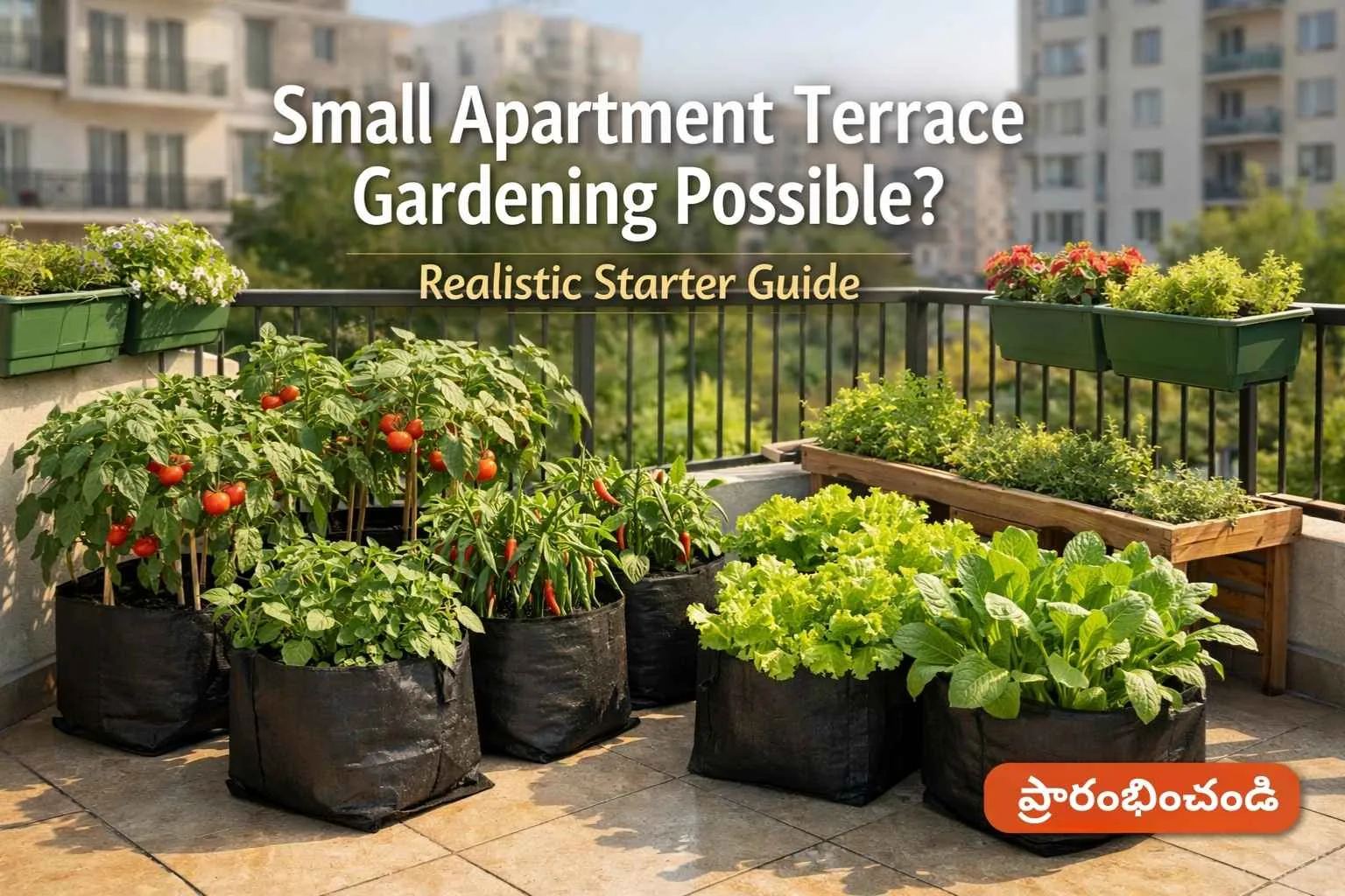 Small Apartmentలో Terrace Gardening Possibleనా? Realistic Starter Guide
