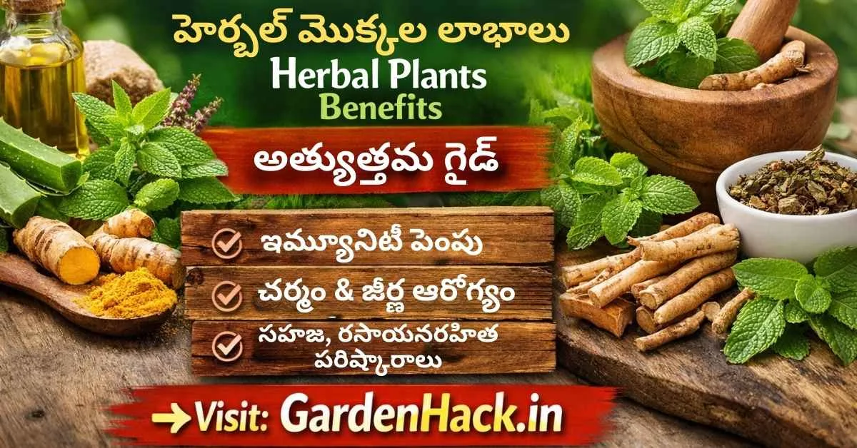 Herbal Plants అంటే ఏమిటి? నిజంగా పనిచేస్తాయా? Science & Reality Explained